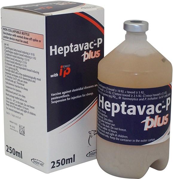 Heptavac P Plus