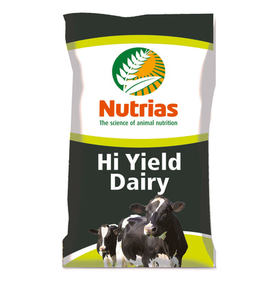 Dairy Feeds
