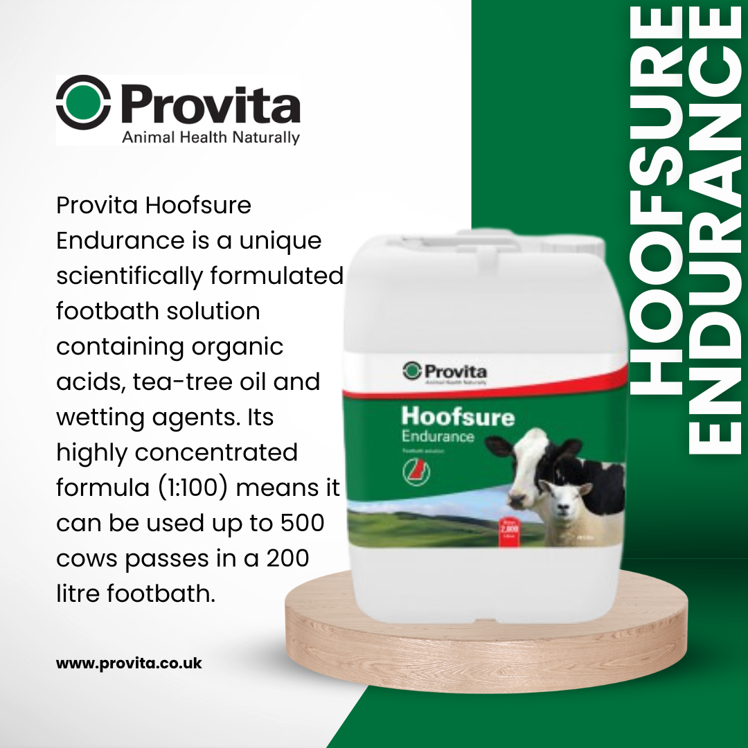 Provita Hoofsure Endurance - 205L