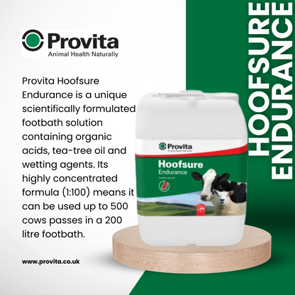 Provita Hoofsure Endurance - 205L
