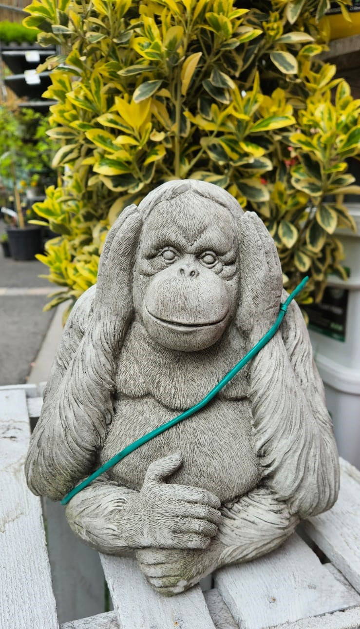 Hear No Evil Monkey Concrete Garden Ornament - 21cm