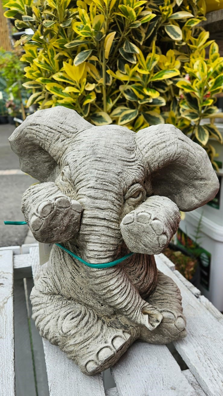Shy Elephant Concrete Garden Ornament - 26cm