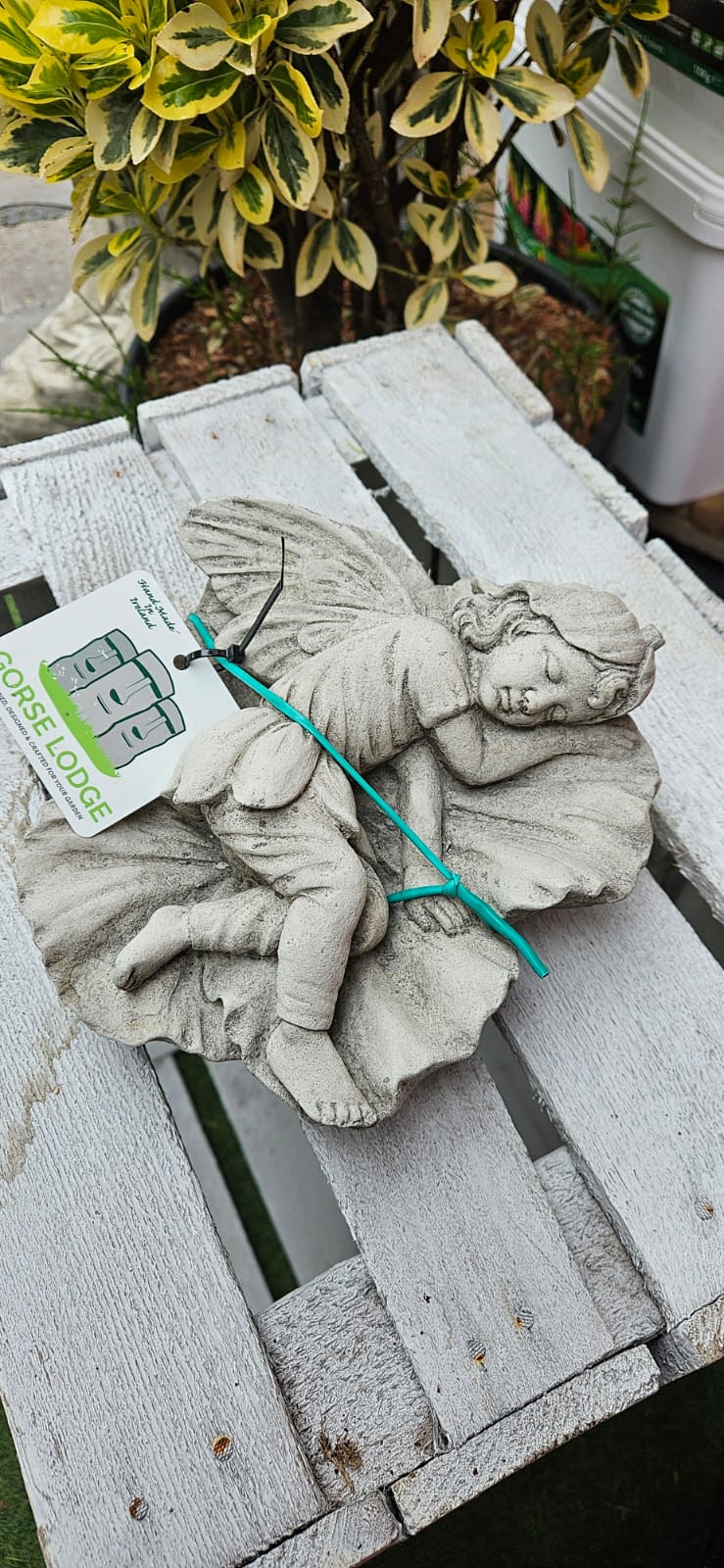 Resting on Leaf Concrete Ornament - 17cm