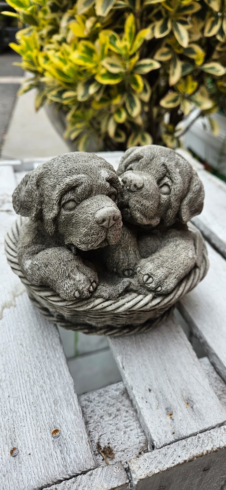 Dogs in Basket Concrete Ornament - 13cm