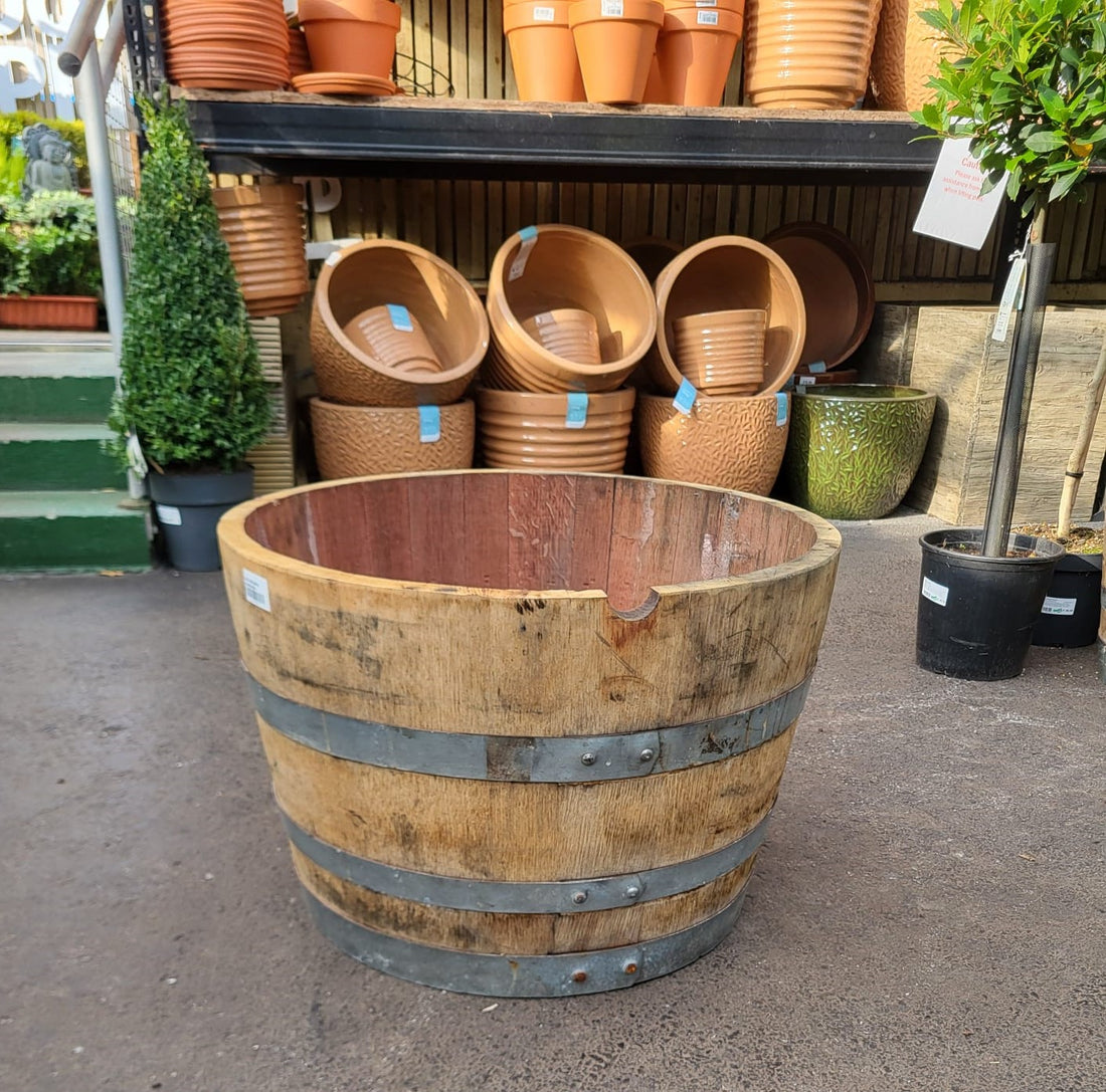 Recycled Wine Barrell Planter - Light