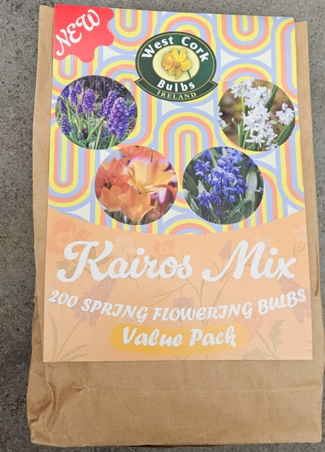 Flower Bulb Mix - Kairos - 200 Bulbs