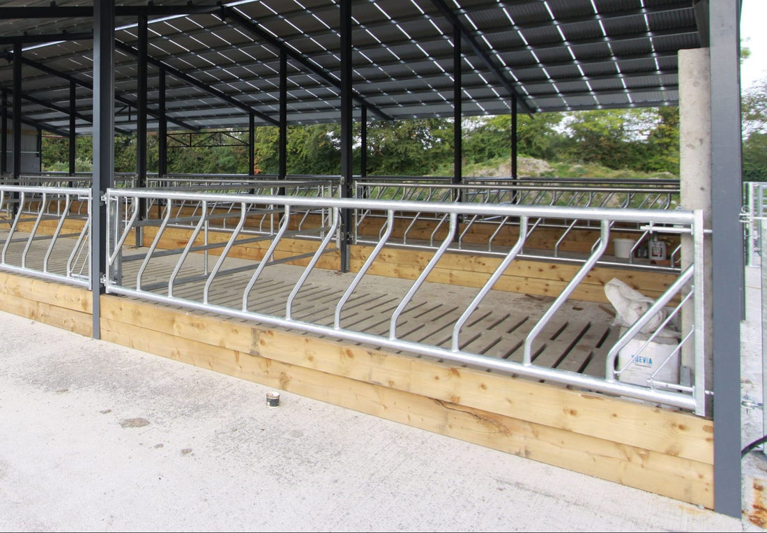 Condon Swinging Barrier