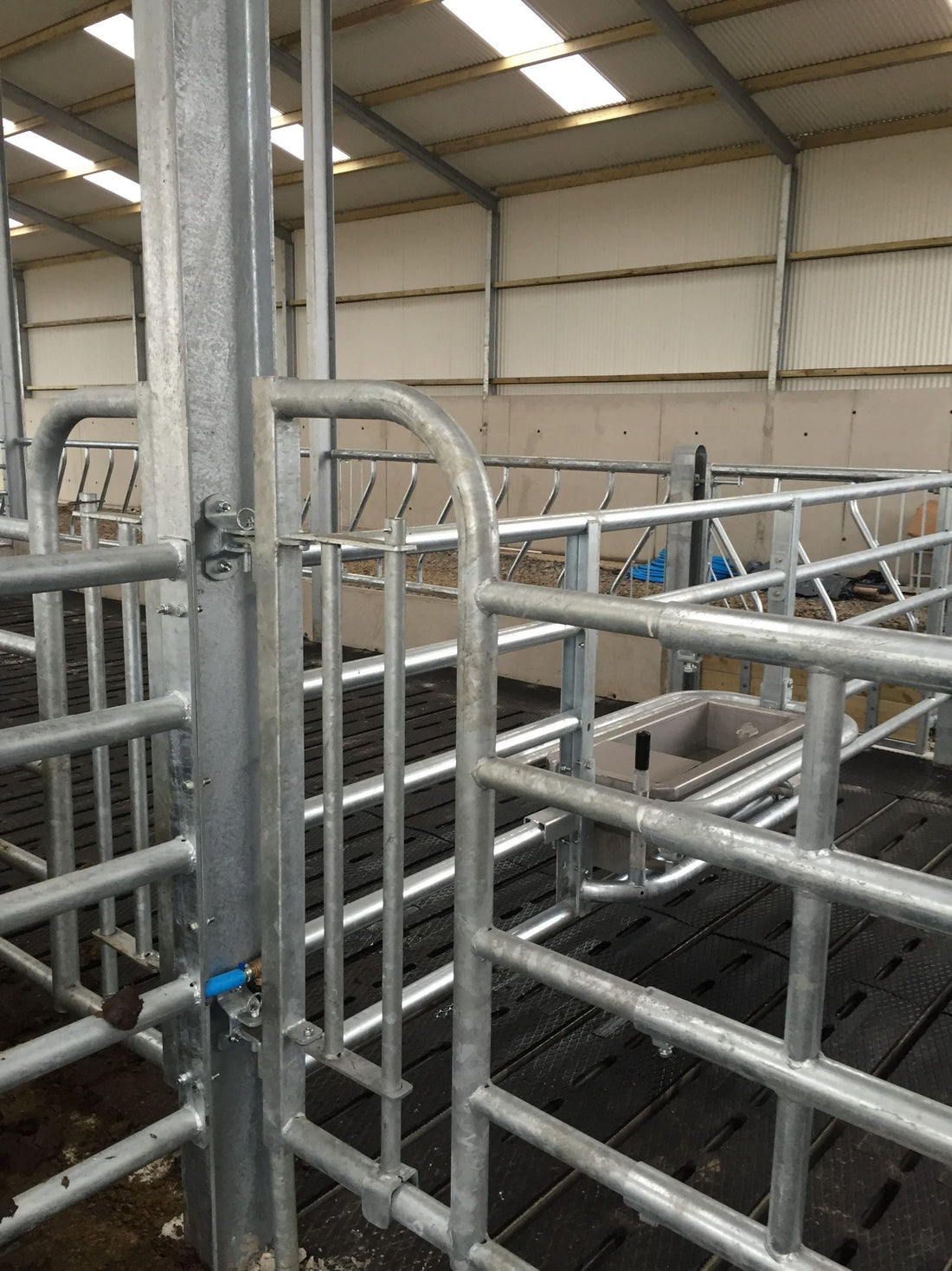 5 Bar Man Escape Gate -  Front Only