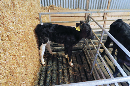 JFC 900mm X 1200mm Calf Slat Black