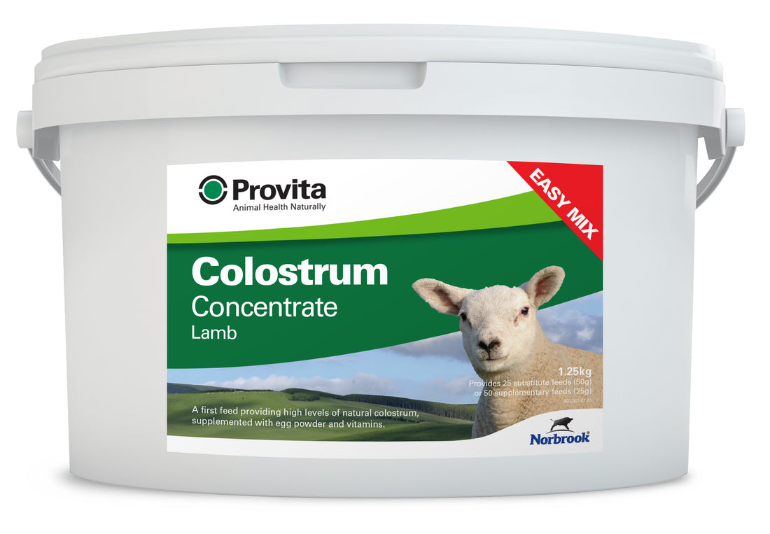 Provita Lamb Colostrum 1.25kg