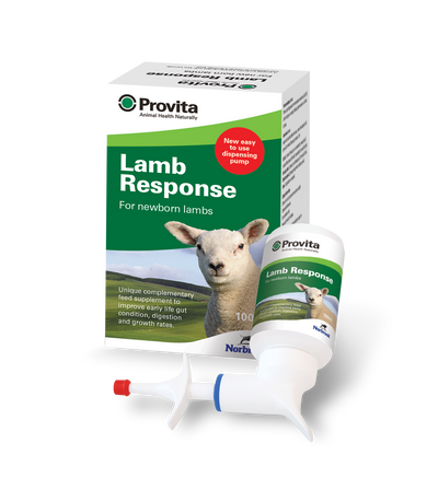 Lambing