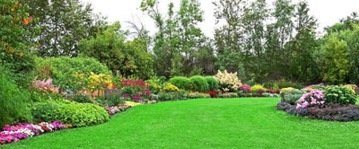 Lawncare