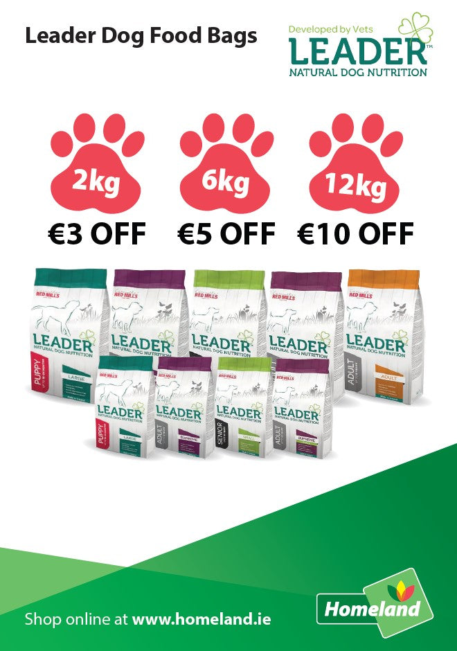 Red Mills Leader Puppy