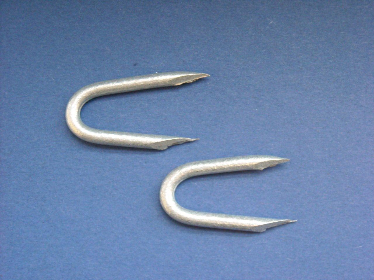 Galv Fence Staples