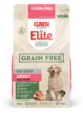 Gain Elite Grain Free Adult Big Dog Food - Salmon