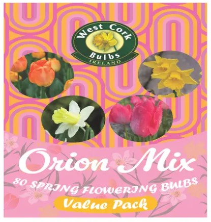 Flower Bulb Mix - Orion - 60 Spring Flowering Bulbs