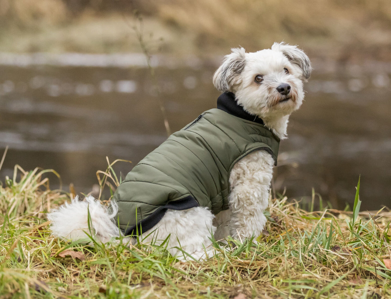 Trixie Coat Arlay Khaki