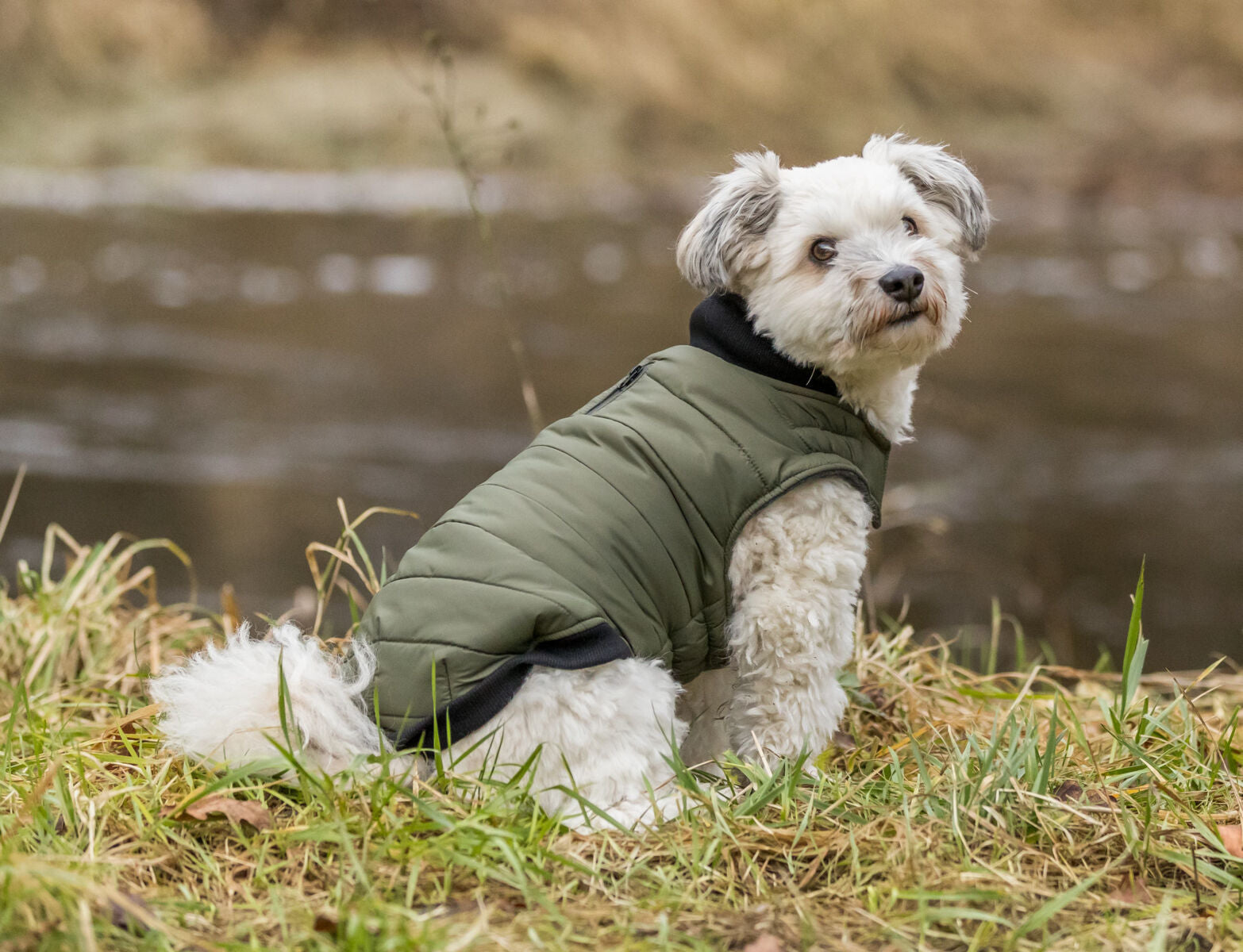 Trixie Coat Arlay Khaki