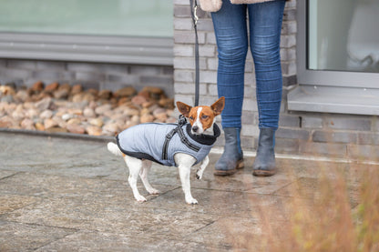 Trixie Pontis Coat with Harness Grey