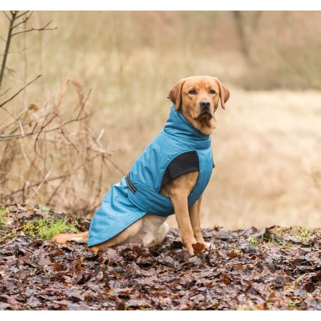 Trixie Winter Coat Riom Blue