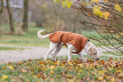 Trixie CityStyle Dublin Raincoat Rust