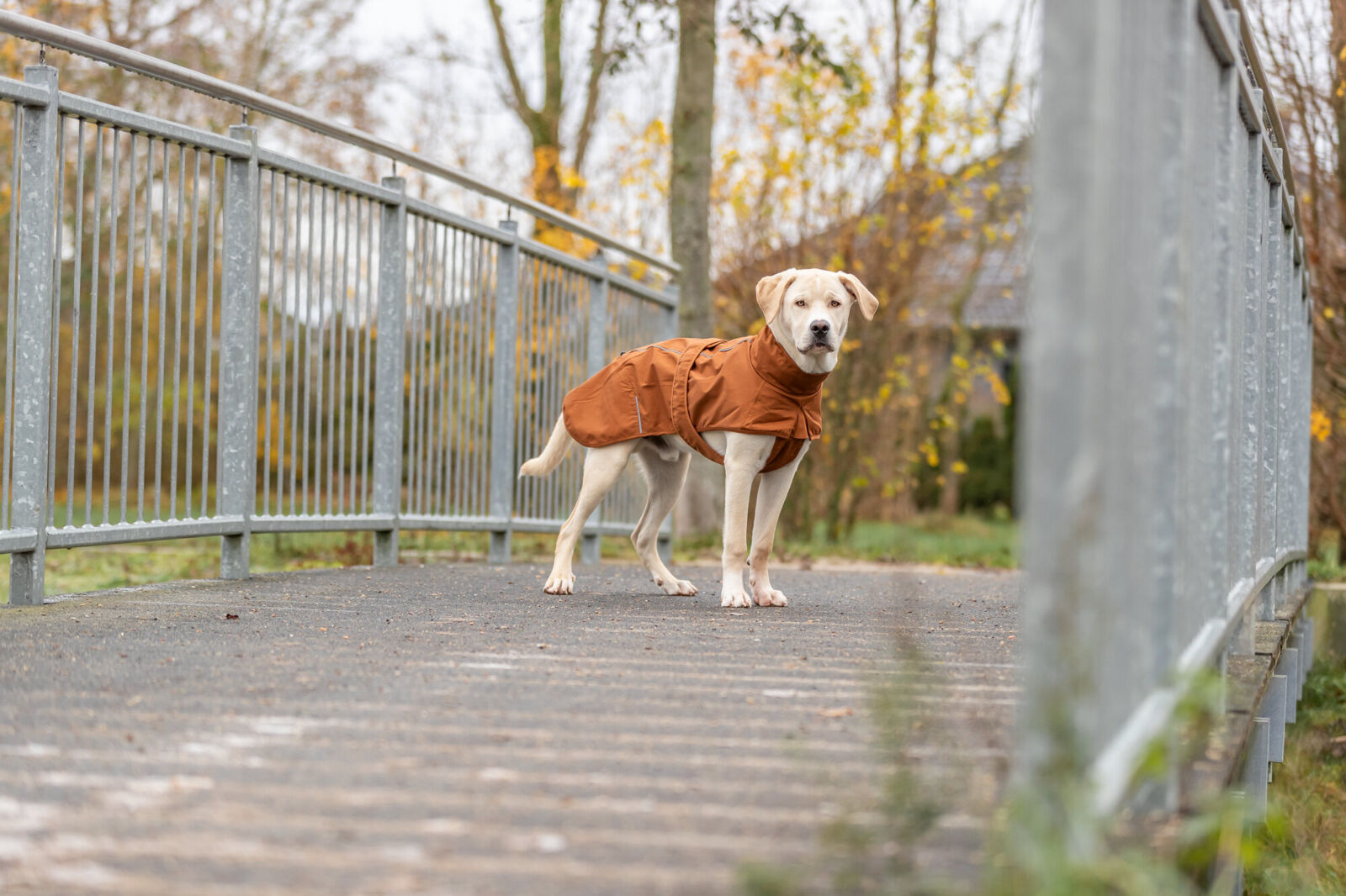 Trixie CityStyle Dublin Raincoat Rust