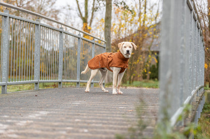 Trixie CityStyle Dublin Raincoat Rust