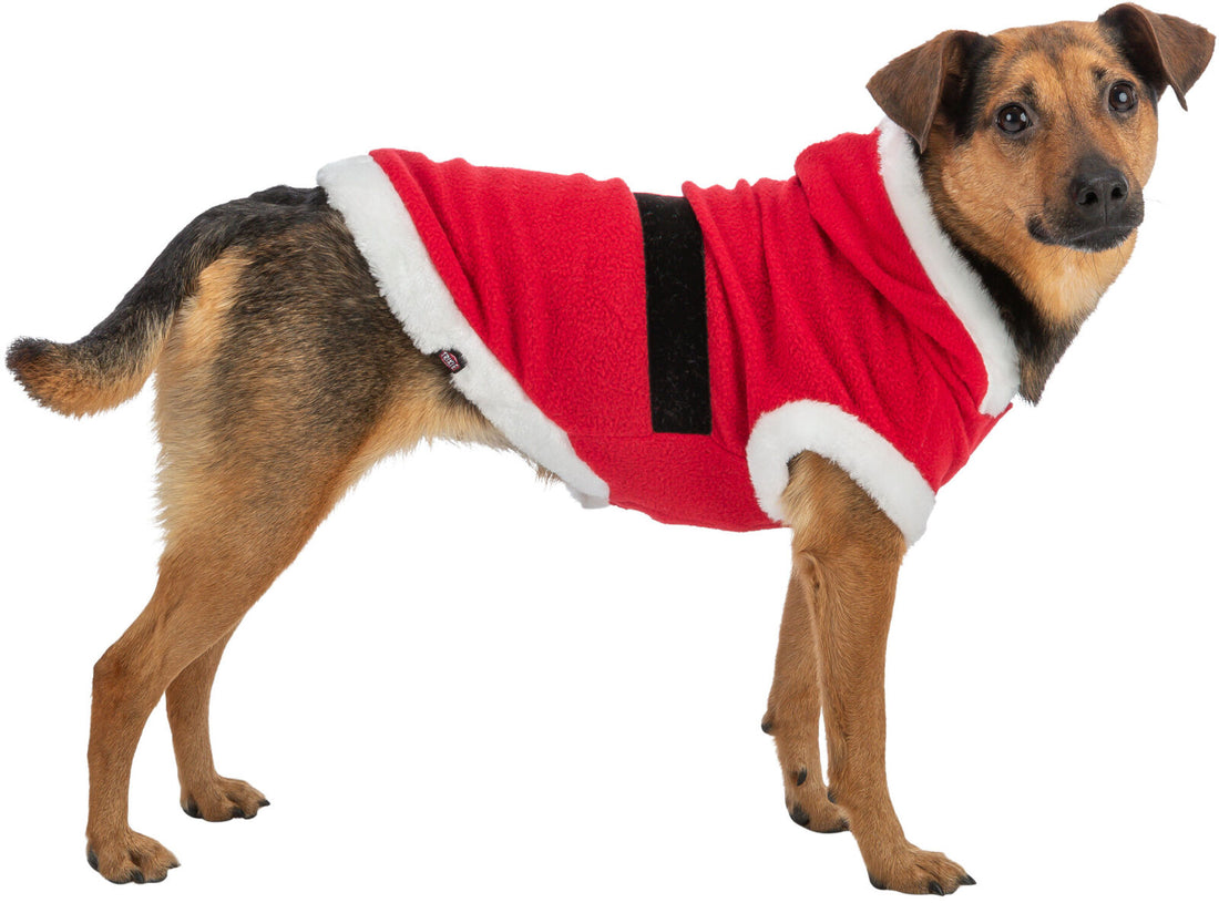 Trixie Christmas Santa Coat