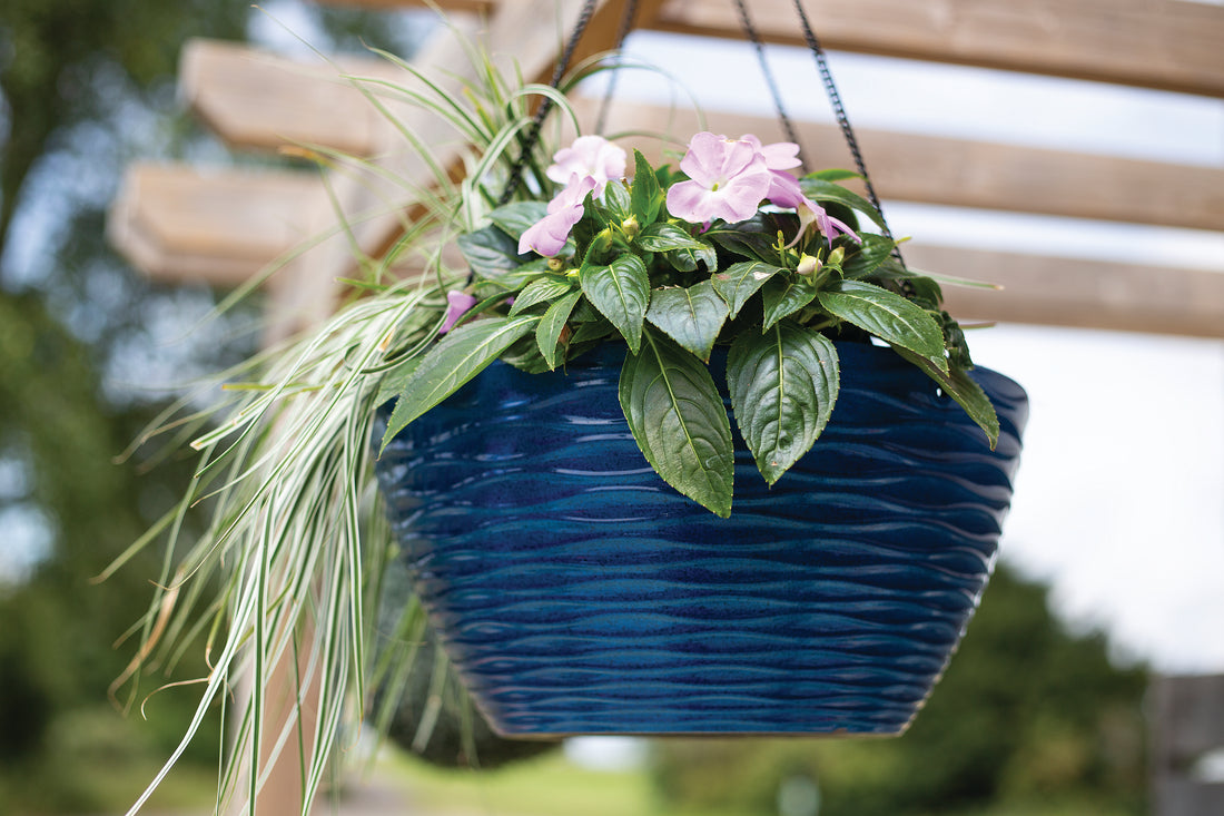 Windermere Hanging Basket Blue