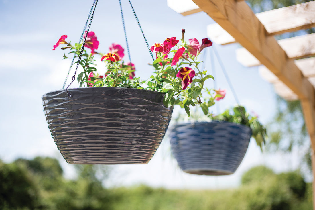 Windermere Hanging Basket Charcoal