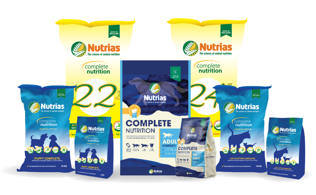 12kg Nutrias Adult Complete Dog Food