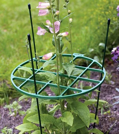 Large Plant Support Ring 40cm