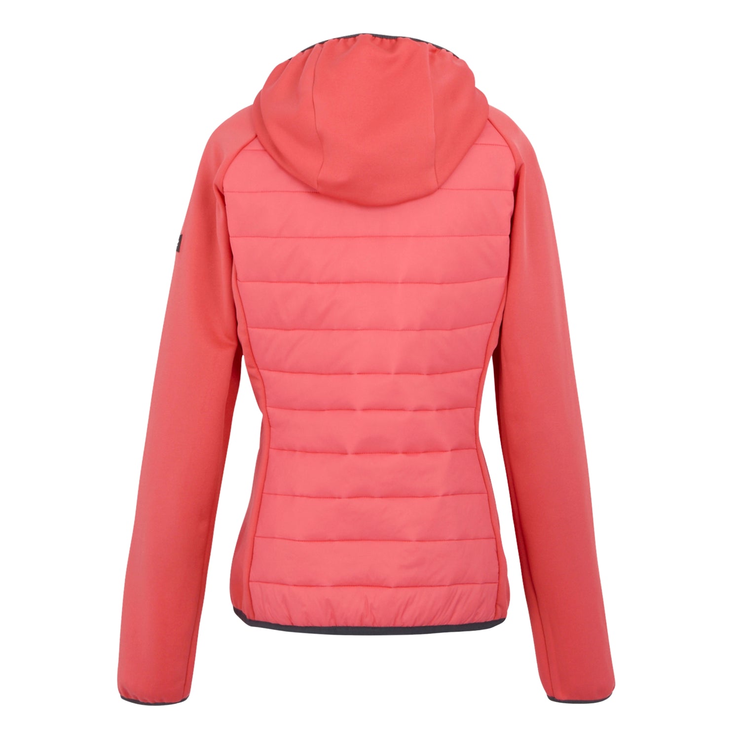 Regatta SS25 Women&