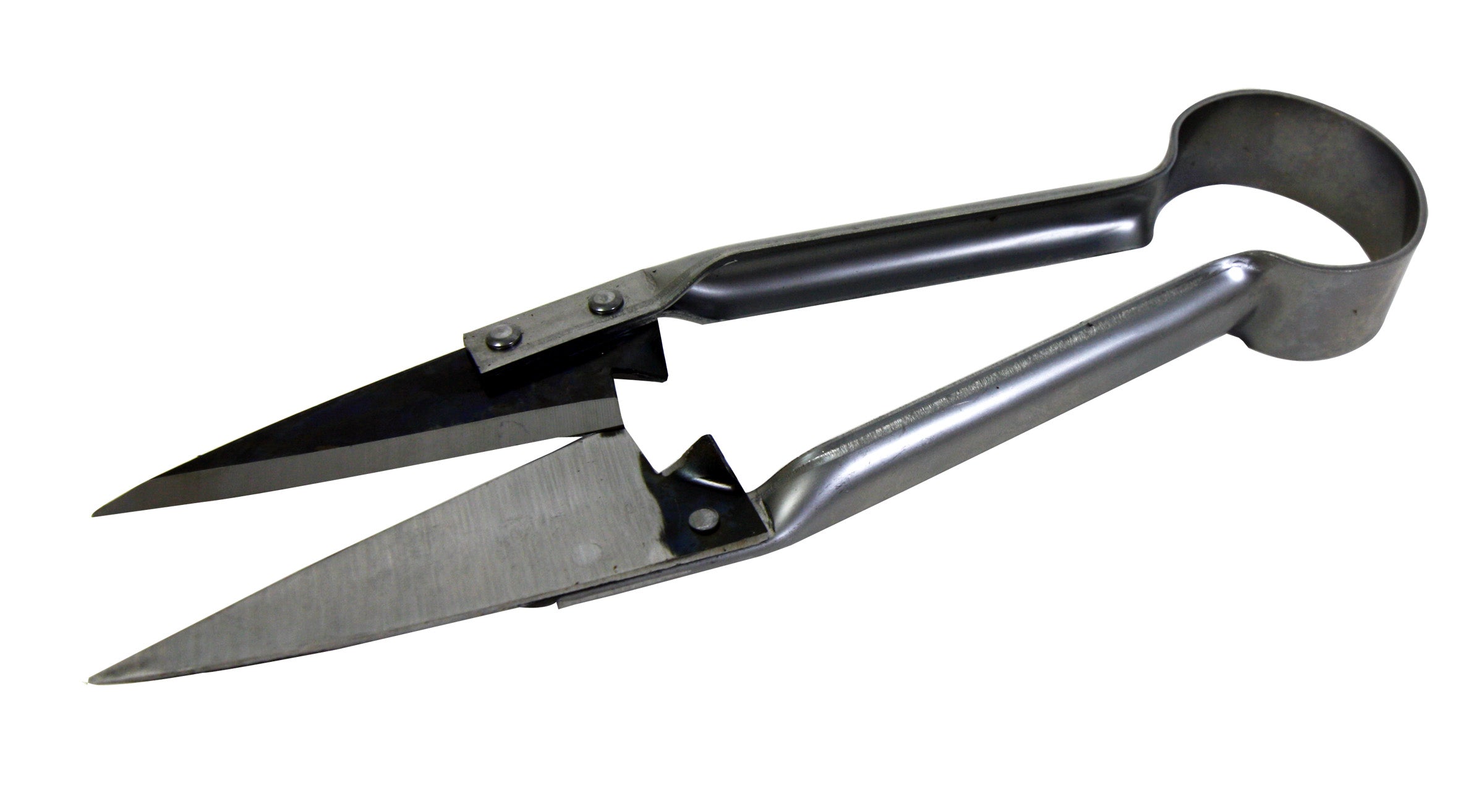 Ritchey dagging Shears Straight – homeland-ie