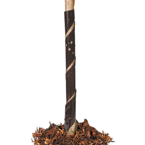 Spiral Rabbit Guards 30inch – homeland-ie