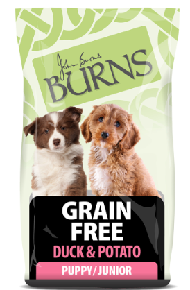 Burns Puppy Free From Duck &amp; Potato 2KG