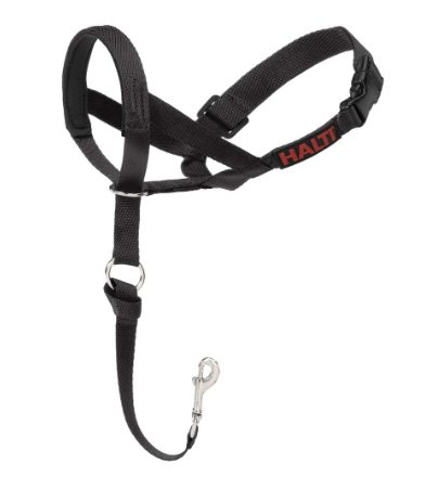 HALTI Headcollar