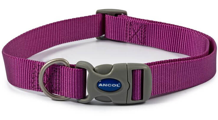 Ancol Viva Purple Nylon Adjustable Dog Collar