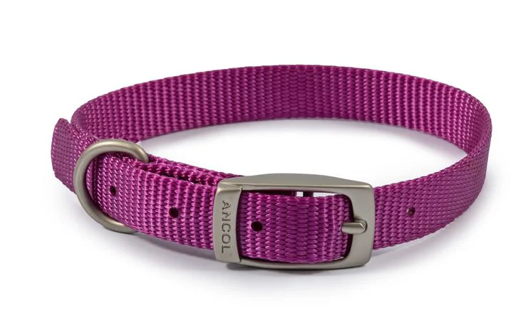 Ancol Viva Dog Collar Nylon Purple 14&quot; Size 2