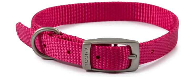Ancol Viva Nylon Collar Raspberry