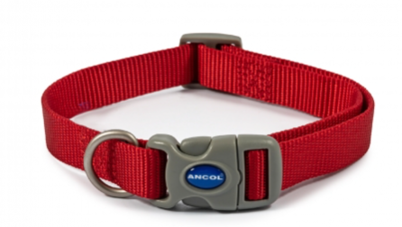 Ancol Viva Red Adjustable Dog Collar