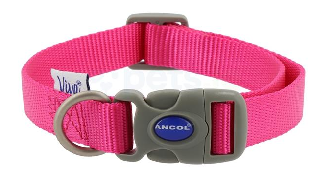 Ancol Viva Raspberry Adjustable Dog Collar
