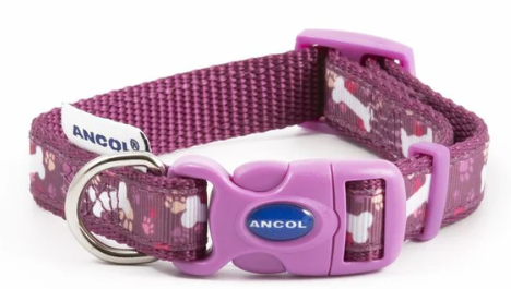 Ancol Purple Bone Nylon Adjustable Collar