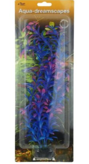 Cheeko Purple Indian Swampweed