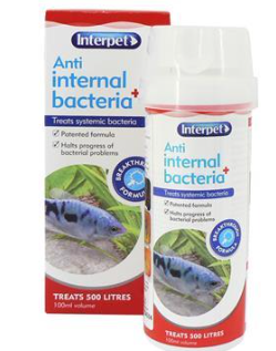 IP Treatment Anti Internal Bacteria 100ml