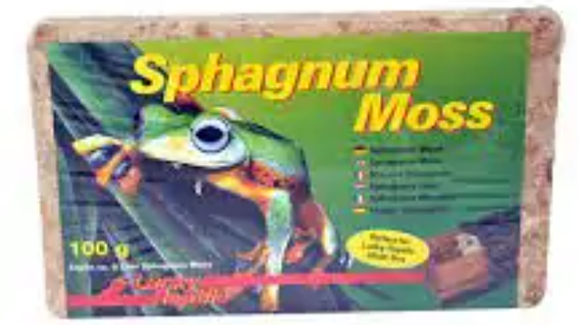 Lucky Reptile Sphagnum Moss