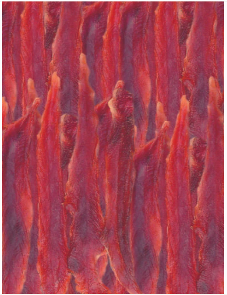 Pet Munchies Duck Breast Fillet 80g