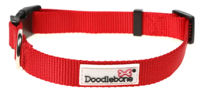 Doodlebone Originals Collar - Ruby - Sizes 1-2