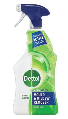 Dettol Mould and Mildew Remover 750ml