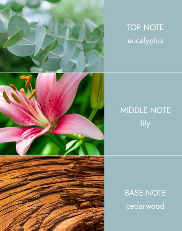 Room Spray - Botantical Breeze